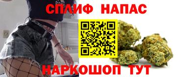гашик Анжеро-Судженск